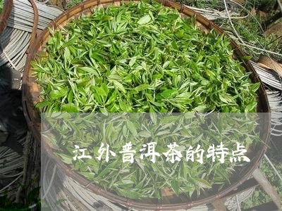 江外普洱茶的特点/2023120418292