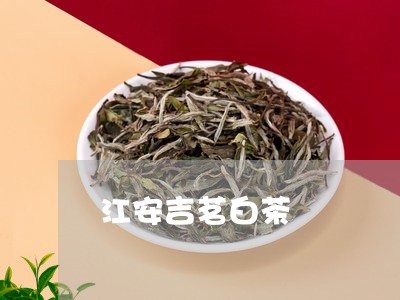 江安吉茗白茶/2023102798240