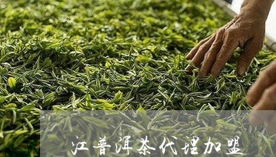 江普洱茶代理加盟/2023042940713