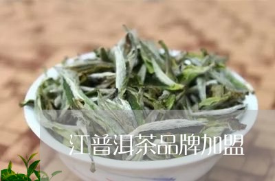 江普洱茶品牌加盟/2023042986359