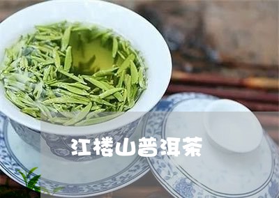 江楼山普洱茶/2023081571894