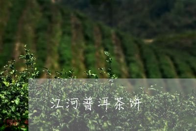 江河普洱茶饼/2023081806249