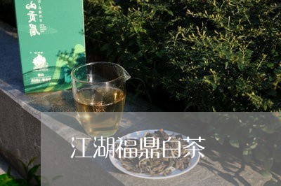 江湖福鼎白茶/2023062835259