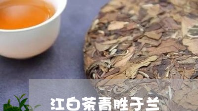 江白茶青胜于兰/2023062250482