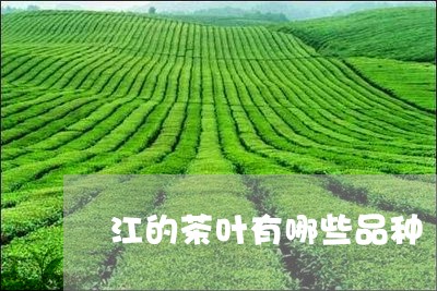 江的茶叶有哪些品种/2023061017260