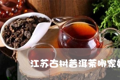 江苏古树普洱茶哪家好/2023110703725