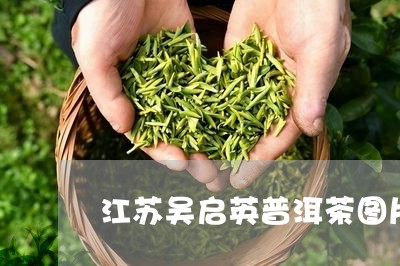 江苏吴启英普洱茶图片/2023062224938