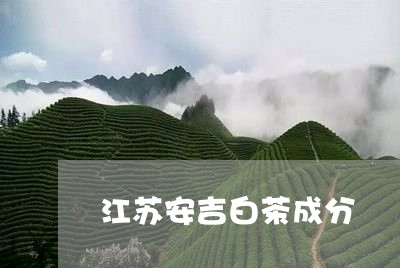 江苏安吉白茶成分/2023062270803