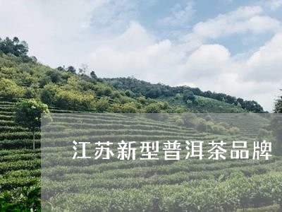 江苏新型普洱茶品牌/2023070824150