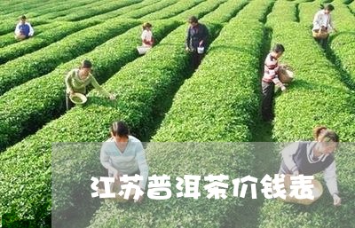 江苏普洱茶价钱表/2023102699613