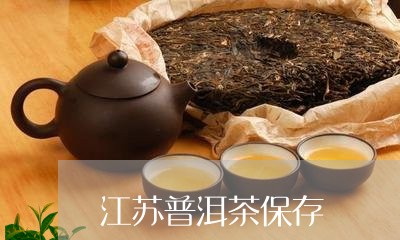 江苏普洱茶保存/2023083194838