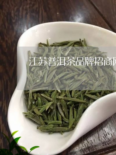 江苏普洱茶品牌招商网/2023092554259