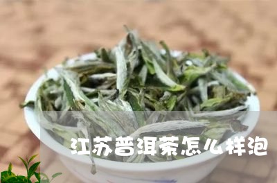 江苏普洱茶怎么样泡/2023070940503