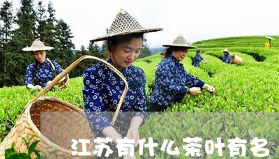 江苏有什么茶叶有名/2023042603835