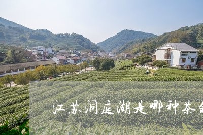 江苏洞庭湖是哪种茶的产地/2023051127148