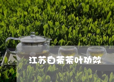 江苏白茶茶叶功效/2023062246148