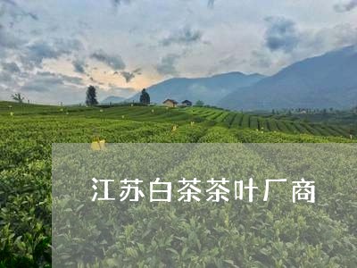 江苏白茶茶叶厂商/2023062248371