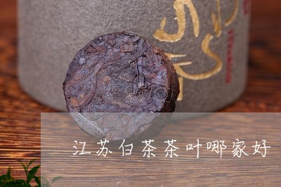 江苏白茶茶叶哪家好/2023072172936