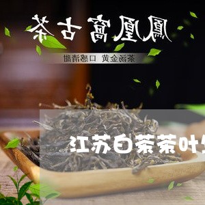 江苏白茶茶叶生产厂/2023072118603