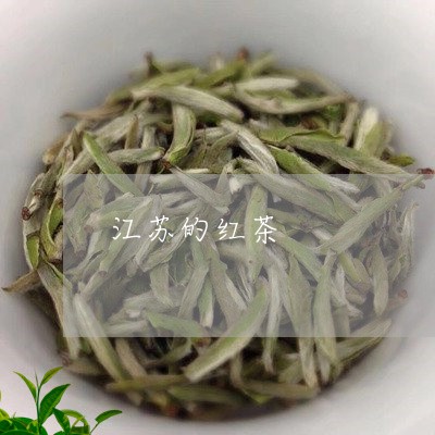 江苏的红茶/2023121940603