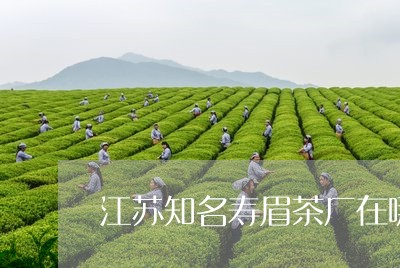 江苏知名寿眉茶厂在哪里/2023092443939