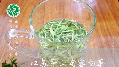 江苏茅山句容白茶/2023062269493