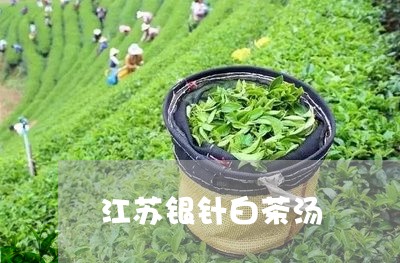 江苏银针白茶汤/2023060316359