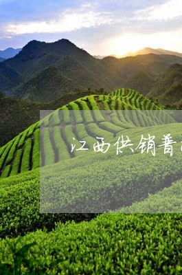 江西供销普洱茶金奖饼/2023062899402