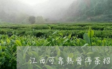 江西可靠熟普洱茶招商/2023092574160