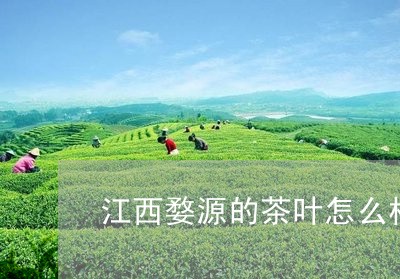 江西婺源的茶叶怎么样/2023061191027