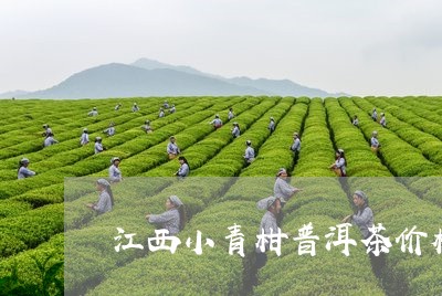 江西小青柑普洱茶价格/2023062359703