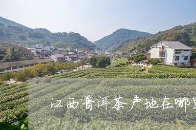 江西普洱茶产地在哪里的/2023110751825