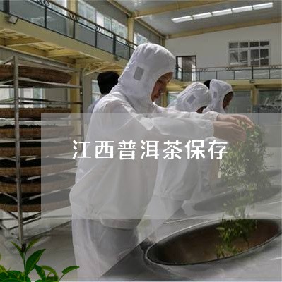 江西普洱茶保存/2023083106272