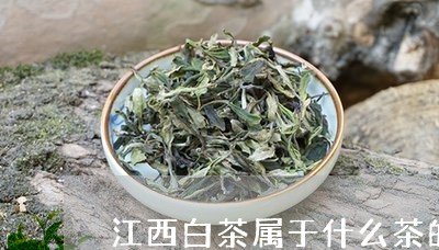 江西白茶属于什么茶的系列产品呢/2023111402694