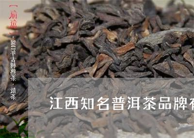 江西知名普洱茶品牌有那些/2023083107382