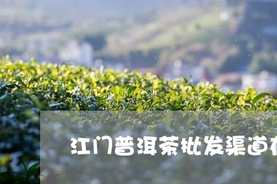 江门普洱茶批发渠道在哪里/2023110401814