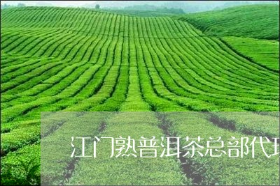 江门熟普洱茶总部代理/2023092571625