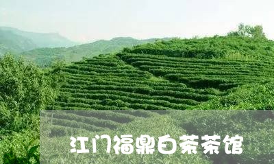 江门福鼎白茶茶馆/2023112623825