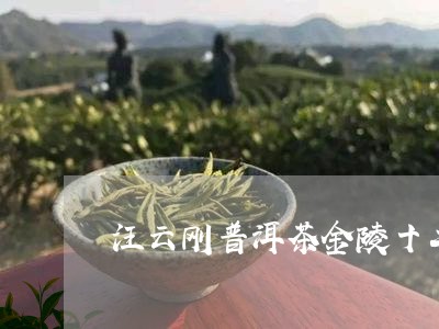 汪云刚普洱茶金陵十二钗多少钱/2023121716260