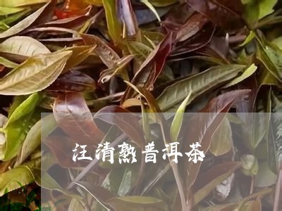 汪清熟普洱茶/2023042794483