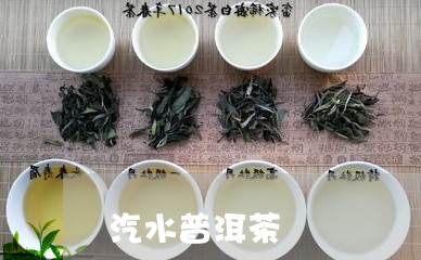 汽水普洱茶/2023112676047