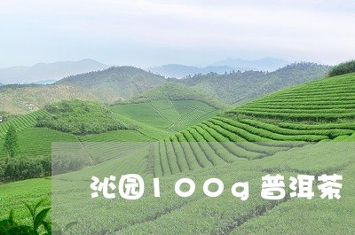 沁园100g普洱茶/2023120530481