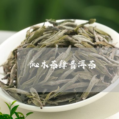 沁木茶肆普洱茶/2023081878249