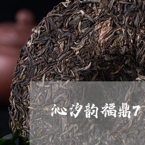 沁汐韵福鼎7年老白茶/2023120727373