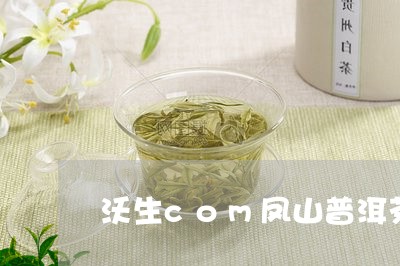 沃生com凤山普洱茶/2023080123836