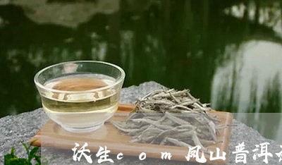 沃生com凤山普洱茶/2023100527171