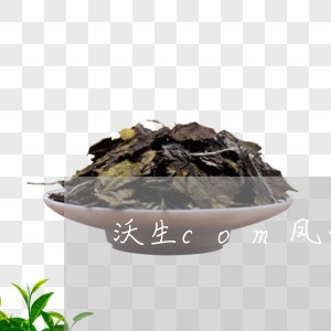 沃生com凤山普洱茶价格/2023110750496