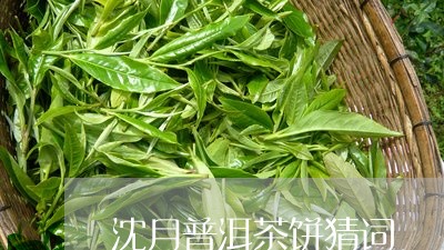 沈月普洱茶饼猜词/2023101610494