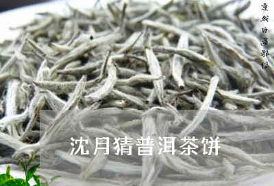 沈月猜普洱茶饼/2023102647460