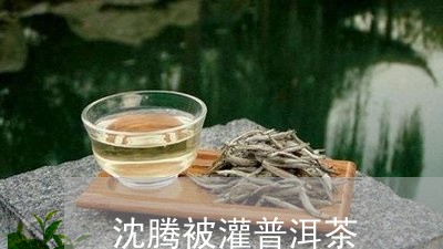 沈腾被灌普洱茶/2023101649381